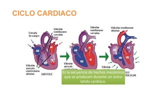 CICLO CARDIACO

Es la secuencia de hechos mecánicos
que se producen durante un único
latido cardíaco.

 