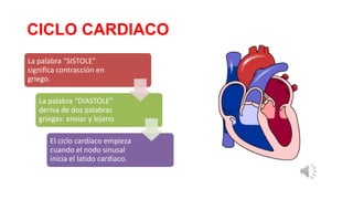 CICLO CARDIACO
La palabra “SISTOLE”
significa contracción en
griego.
La palabra “DIASTOLE”
deriva de dos palabras
griegas: enviar y lejano.
El ciclo cardíaco empieza
cuando el nodo sinusal
inicia el latido cardíaco.

 