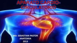 APARATO CARDIOCIRCULATORIO

MD. SEBASTIAN PASTOR
ANATOMIA
2013

 