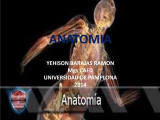 ANATOMIA
YEHISON BARAJAS RAMON
Mgs CAFD
UNIVERSIDAD DE PAMPLONA
2014
 