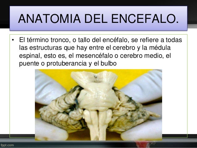 Las agudizaciones de la osteocondrosis los síntomas