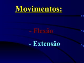 Movimentos:
- Flexão
- Extensão
 