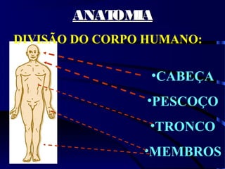 ANATOMIAANATOMIA
DIVISÃO DO CORPO HUMANO:
•CABEÇA
•PESCOÇO
•TRONCO
•MEMBROS
 