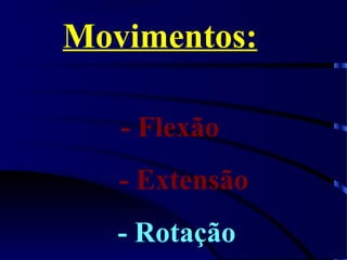 Movimentos:
- Flexão
- Extensão
- Rotação
 