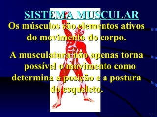 SISTEMA MUSCULARSISTEMA MUSCULAR
Os músculos são elementos ativosOs músculos são elementos ativos
do movimento do corpo.do movimento do corpo.
A musculatura não apenas tornaA musculatura não apenas torna
possível o movimento comopossível o movimento como
determina a posição e a posturadetermina a posição e a postura
do esqueleto.do esqueleto.
 