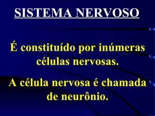 SISTEMA NERVOSO
É constituído por inúmeras
células nervosas.
A célula nervosa é chamada
de neurônio.
 