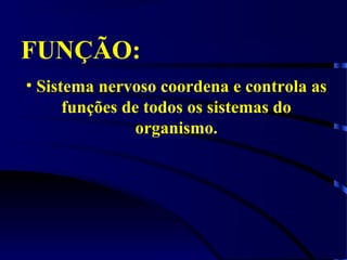 FUNÇÃO:
• Sistema nervoso coordena e controla as
funções de todos os sistemas do
organismo.
 