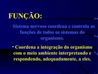 FUNÇÃO:
• Sistema nervoso coordena e controla as
funções de todos os sistemas do
organismo.
• Coordena a integração do organismo
com o meio ambiente interpretando e
respondendo, adequadamente, a eles.
 