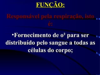 FUNÇÃO:FUNÇÃO:
Responsável pela respiração, istoResponsável pela respiração, isto
é:é:
•Fornecimento de o² para serFornecimento de o² para ser
distribuído pelo sangue a todas asdistribuído pelo sangue a todas as
células do corpo;células do corpo;
 
