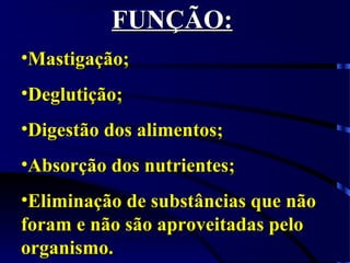 FUNÇÃO:FUNÇÃO:
•Mastigação;Mastigação;
•Deglutição;Deglutição;
•Digestão dos alimentos;Digestão dos alimentos;
•Absorção dos nutrientes;Absorção dos nutrientes;
•Eliminação de substâncias que nãoEliminação de substâncias que não
foram e não são aproveitadas peloforam e não são aproveitadas pelo
organismo.organismo.
 