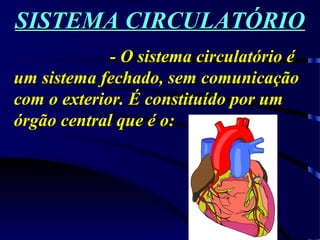 SISTEMA CIRCULATÓRIOSISTEMA CIRCULATÓRIO
- O sistema circulatório é- O sistema circulatório é
um sistema fechado, sem comunicaçãoum sistema fechado, sem comunicação
com o exterior. É constituído por umcom o exterior. É constituído por um
órgão central que é o:órgão central que é o:
 
