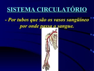 SISTEMA CIRCULATÓRIOSISTEMA CIRCULATÓRIO
- Por tubos que são os vasos sangüíneo- Por tubos que são os vasos sangüíneo
por onde passa o sangue.por onde passa o sangue.
 