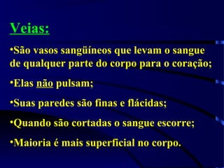 Veias:
•São vasos sangüíneos que levam o sangue
de qualquer parte do corpo para o coração;
•Elas não pulsam;
•Suas paredes são finas e flácidas;
•Quando são cortadas o sangue escorre;
•Maioria é mais superficial no corpo.
 