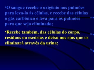 •O sangue recebe o oxigênio nos pulmões
para leva-lo às células, e recebe das células
o gás carbônico e leva para os pulmões
para que seja eliminado;
•Recebe também, das células do corpo,
resíduos ou escórias e deixa nos rins que os
eliminará através da urina;
 