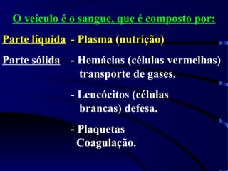 O veículo é o sangue, que é composto por:
Parte líquida - Plasma (nutrição)
Parte sólida - Hemácias (células vermelhas)
transporte de gases.
- Leucócitos (células
brancas) defesa.
- Plaquetas
Coagulação.
 