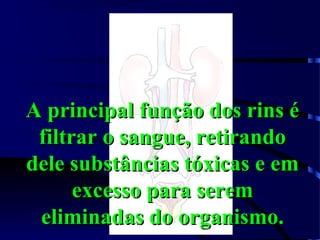 A principal função dos rins éA principal função dos rins é
filtrar o sangue, retirandofiltrar o sangue, retirando
dele substâncias tóxicas e emdele substâncias tóxicas e em
excesso para seremexcesso para serem
eliminadas do organismo.eliminadas do organismo.
 