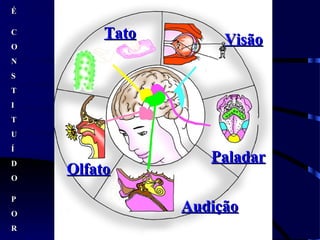 ÉÉ
CC
OO
NN
SS
TT
II
TT
UU
ÍÍ
DD
OO
PP
OO
RR
VisãoVisão
PaladarPaladar
OlfatoOlfato
TatoTato
AudiçãoAudição
 