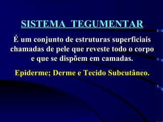 SISTEMA TEGUMENTARSISTEMA TEGUMENTAR
É um conjunto de estruturas superficiaisÉ um conjunto de estruturas superficiais
chamadas de pele que reveste todo o corpochamadas de pele que reveste todo o corpo
e que se dispõem em camadas.e que se dispõem em camadas.
Epiderme; Derme e Tecido Subcutâneo.Epiderme; Derme e Tecido Subcutâneo.
 