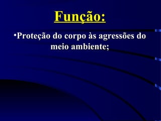 Função:Função:
•Proteção do corpo às agressões doProteção do corpo às agressões do
meio ambiente;meio ambiente;
 