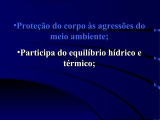 •Proteção do corpo às agressões doProteção do corpo às agressões do
meio ambiente;meio ambiente;
•Participa do equilíbrio hídrico eParticipa do equilíbrio hídrico e
térmico;térmico;
 