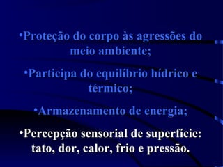 •Proteção do corpo às agressões doProteção do corpo às agressões do
meio ambiente;meio ambiente;
•Participa do equilíbrio hídrico eParticipa do equilíbrio hídrico e
térmico;térmico;
•Armazenamento de energia;Armazenamento de energia;
•Percepção sensorial de superfície:Percepção sensorial de superfície:
tato, dor, calor, frio e pressão.tato, dor, calor, frio e pressão.
 