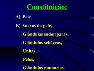 Constituição:Constituição:
A)A) PelePele
B)B) Anexos da pele,Anexos da pele,
Glândulas sudoríparas,Glândulas sudoríparas,
Glândulas sebáceas,Glândulas sebáceas,
Unhas,Unhas,
Pêlos,Pêlos,
Glândulas mamarias.Glândulas mamarias.
 