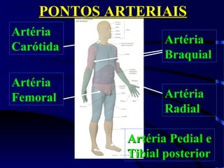 PONTOS ARTERIAISPONTOS ARTERIAIS
Artéria
Carótida
Artéria
Femoral Artéria
Radial
Artéria
Braquial
Artéria Pedial eArtéria Pedial e
Tibial posteriorTibial posterior
 