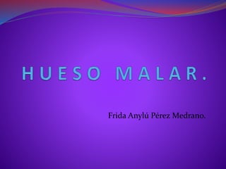 Frida Anylú Pérez Medrano.
 
