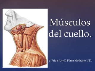  Frida Anylú Pérez Medrano 1°D.
Músculos
del cuello.
 