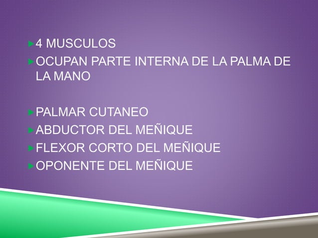 Anatomia. musculos de la eminencia hipotenar