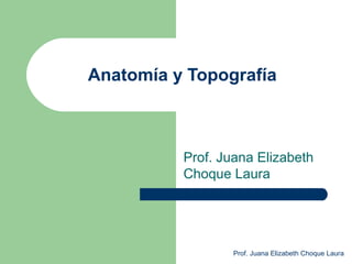 Anatomía y Topografía
Prof. Juana Elizabeth
Choque Laura
Prof. Juana Elizabeth Choque Laura
 