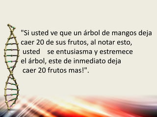 "Si usted ve que un árbol de mangos deja
caer 20 de sus frutos, al notar esto,
usted se entusiasma y estremece
el árbol, este de inmediato deja
caer 20 frutos mas!".
 