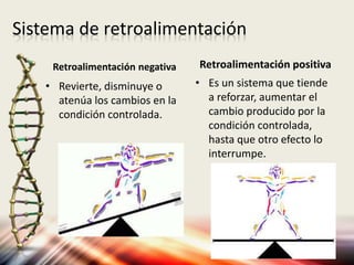Sistema de retroalimentación
Retroalimentación negativa
• Revierte, disminuye o
atenúa los cambios en la
condición controlada.
Retroalimentación positiva
• Es un sistema que tiende
a reforzar, aumentar el
cambio producido por la
condición controlada,
hasta que otro efecto lo
interrumpe.
 