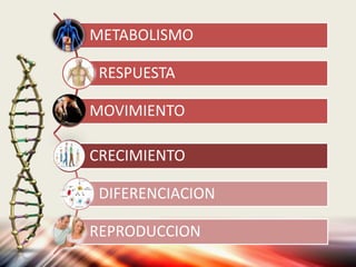 METABOLISMO
RESPUESTA
MOVIMIENTO
CRECIMIENTO
DIFERENCIACION
REPRODUCCION
 