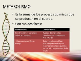 METABOLISMO
• Es la suma de los procesos químicos que
se producen en el cuerpo.
• Con sus dos faces;
ANABOLISMO CATABOLISMO
Construcción de sustancias
químicas complejas
Ruptura de moléculas
complejas en componentes
mas simples
Estas reacciones liberan
energía
Estas reacciones utilizan
esta energía liberada para
recomponer enlaces químicos
y construir componentes de las
células
 