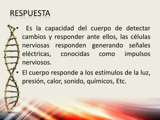 RESPUESTA
• Es la capacidad del cuerpo de detectar
cambios y responder ante ellos, las células
nerviosas responden generando señales
eléctricas, conocidas como impulsos
nerviosos.
• El cuerpo responde a los estímulos de la luz,
presión, calor, sonido, químicos, Etc.
 