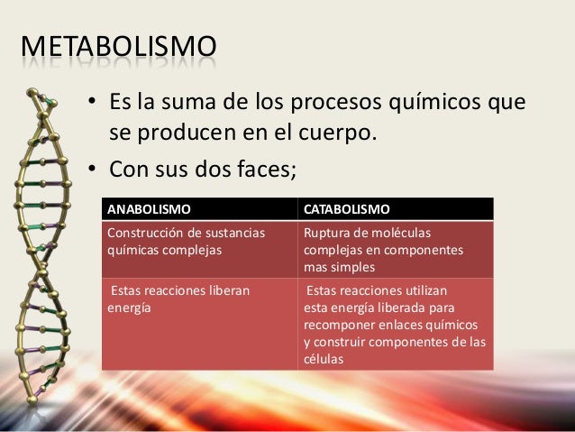 Procesos Vitales, PRINCIPIOS DE ANATOMIA