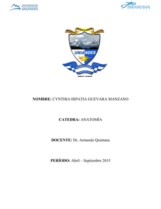 NOMBRE: CYNTHIA HIPATIA GUEVARA MANZANO
CATEDRA: ANATOMÍA
DOCENTE: Dr. Armando Quintana
PERÍODO: Abril – Septiembre 2015
 