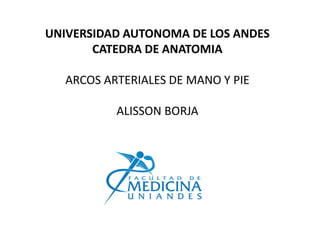 UNIVERSIDAD AUTONOMA DE LOS ANDES
CATEDRA DE ANATOMIA
ARCOS ARTERIALES DE MANO Y PIE
ALISSON BORJA
 