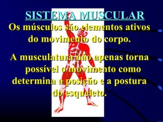 SISTEMA MUSCULARSISTEMA MUSCULAR
Os músculos são elementos ativosOs músculos são elementos ativos
do movimento do corpo.do movimento do corpo.
A musculatura não apenas tornaA musculatura não apenas torna
possível o movimento comopossível o movimento como
determina a posição e a posturadetermina a posição e a postura
do esqueleto.do esqueleto.
 