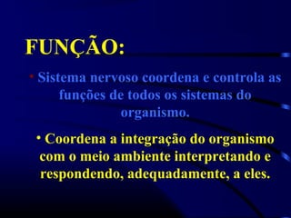 FUNÇÃO:
• Sistema nervoso coordena e controla as
funções de todos os sistemas do
organismo.
• Coordena a integração do organismo
com o meio ambiente interpretando e
respondendo, adequadamente, a eles.
 
