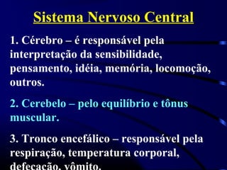 Sistema Nervoso Central
1. Cérebro – é responsável pela
interpretação da sensibilidade,
pensamento, idéia, memória, locomoção,
outros.
2. Cerebelo – pelo equilíbrio e tônus
muscular.
3. Tronco encefálico – responsável pela
respiração, temperatura corporal,
 