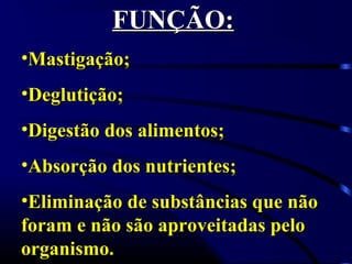 FUNÇÃO:FUNÇÃO:
•Mastigação;Mastigação;
•Deglutição;Deglutição;
•Digestão dos alimentos;Digestão dos alimentos;
•Absorção dos nutrientes;Absorção dos nutrientes;
•Eliminação de substâncias que nãoEliminação de substâncias que não
foram e não são aproveitadas peloforam e não são aproveitadas pelo
organismo.organismo.
 