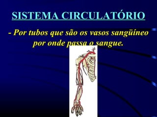 SISTEMA CIRCULATÓRIOSISTEMA CIRCULATÓRIO
- Por tubos que são os vasos sangüíneo- Por tubos que são os vasos sangüíneo
por onde passa o sangue.por onde passa o sangue.
 