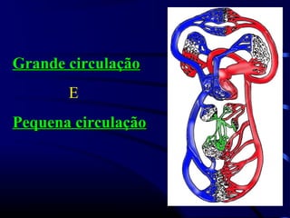Grande circulaçãoGrande circulação
E
Pequena circulaçãoPequena circulação
 