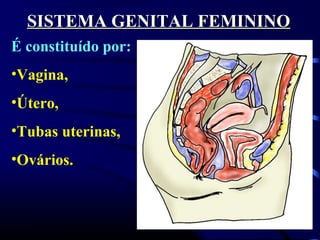 SISTEMA GENITAL FEMININOSISTEMA GENITAL FEMININO
É constituído por:
•Vagina,
•Útero,
•Tubas uterinas,
•Ovários.
 