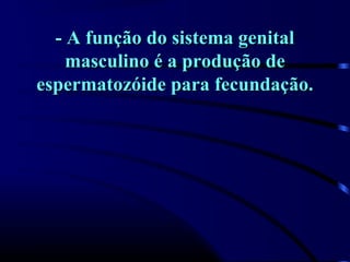 - A função do sistema genital- A função do sistema genital
masculino é a produção demasculino é a produção de
espermatozóide para fecundação.espermatozóide para fecundação.
 