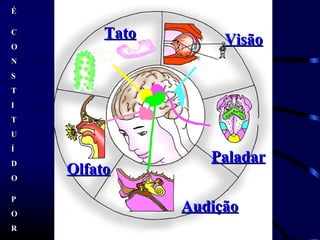 ÉÉ
CC
OO
NN
SS
TT
II
TT
UU
ÍÍ
DD
OO
PP
OO
RR
VisãoVisão
PaladarPaladar
OlfatoOlfato
TatoTato
AudiçãoAudição
 