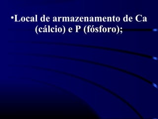•Local de armazenamento de Ca
(cálcio) e P (fósforo);
 