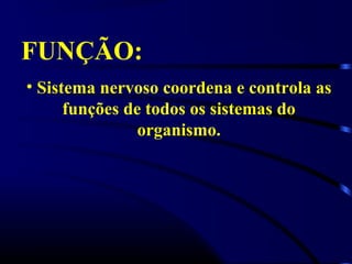 FUNÇÃO:
• Sistema nervoso coordena e controla as
funções de todos os sistemas do
organismo.
 